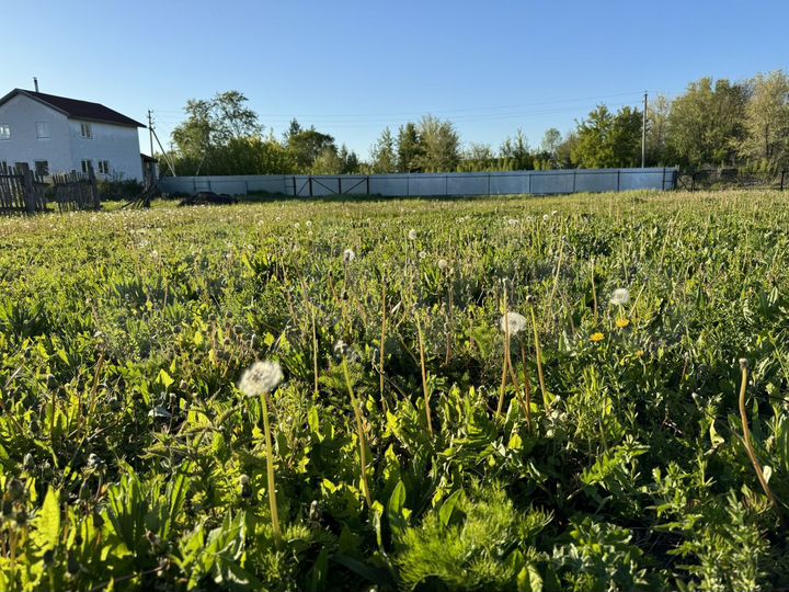 Участок 10 сот. (ИЖС)