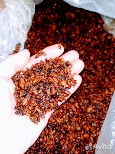 Облепиха ягода -сушеная