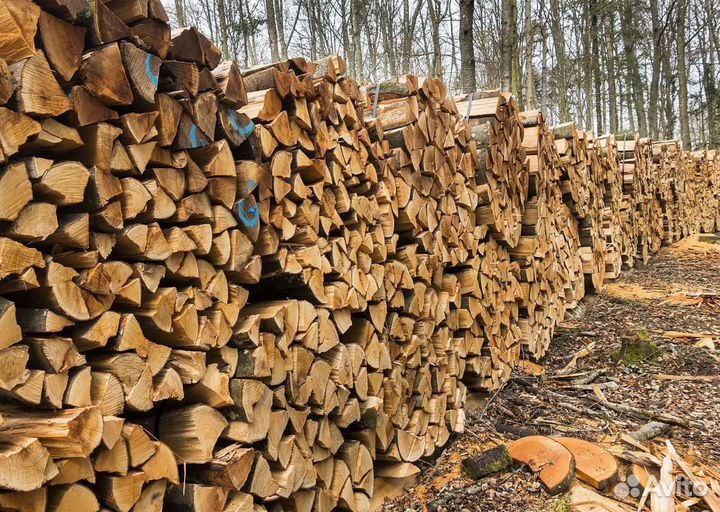 Дрова в наличии