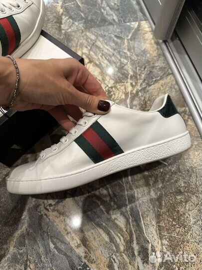 Кеды gucci оригинал