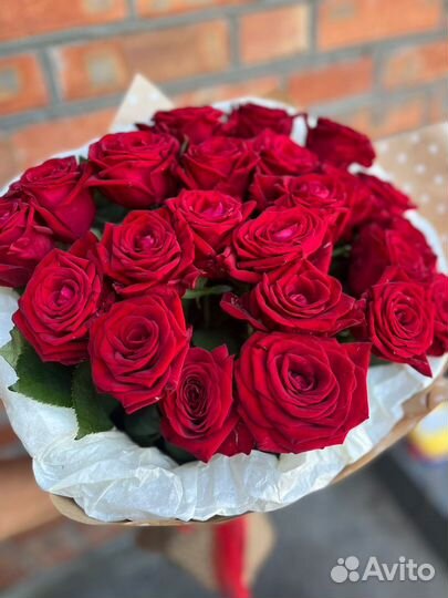 Роза букет 25 51 101 доставка цветы