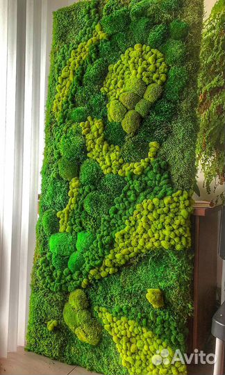 Мох стабилизированный.Озеленение.Декор.Ресторанов