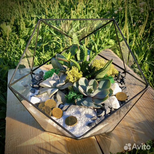 Флорариум в икосаэдре