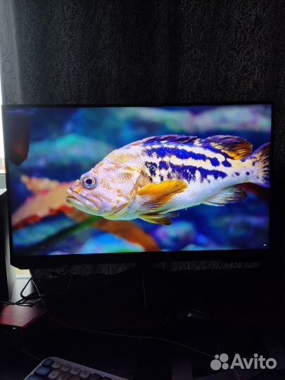 Samsung odyssey g5 32 IPS