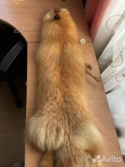 Шкурка лисы