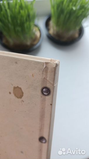 Блокнот-ежедневник 