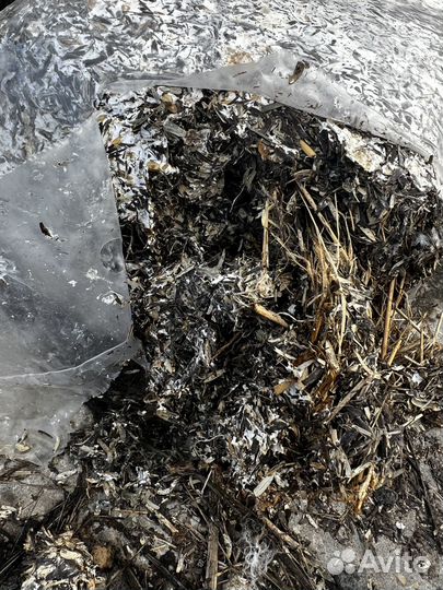 Удобрения для почвы. Мицелий грибной