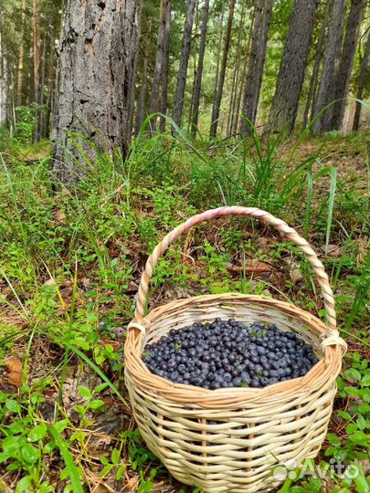 Корзина плетеная детская ягодная для ребёнка