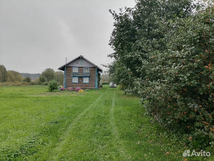 Недвижимость