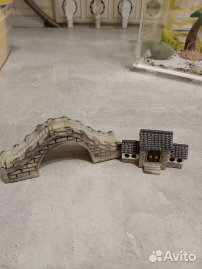 Формикарий с муравьями