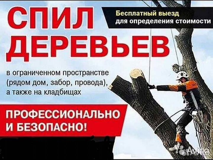 Спилить дерево. Обрезка плодовых