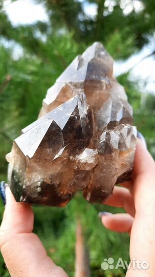 Раухтопаз Дымчатый Кварц Друза Кристалл