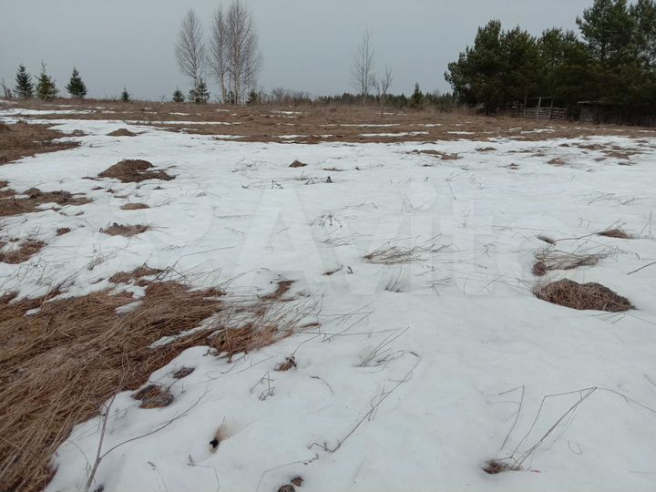 Участок 12 сот. (ИЖС)