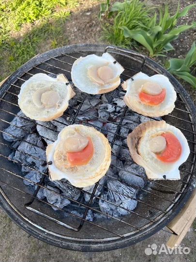 Морской гребешок Гигант 1кг