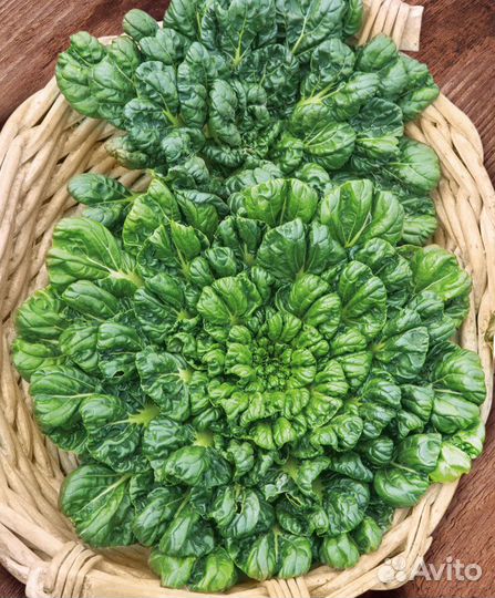 Татсой, китайскся капуста, семена 30 шт