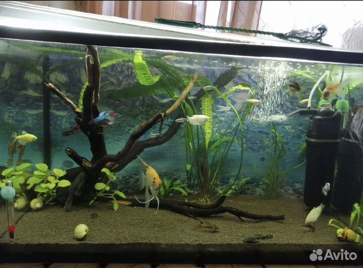 Аквариум 140 литров