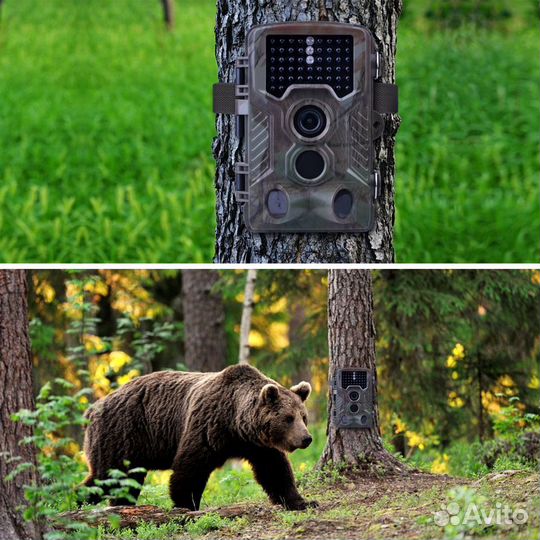 Настройка фотоловушек