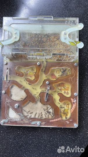 Муравьиная ферма