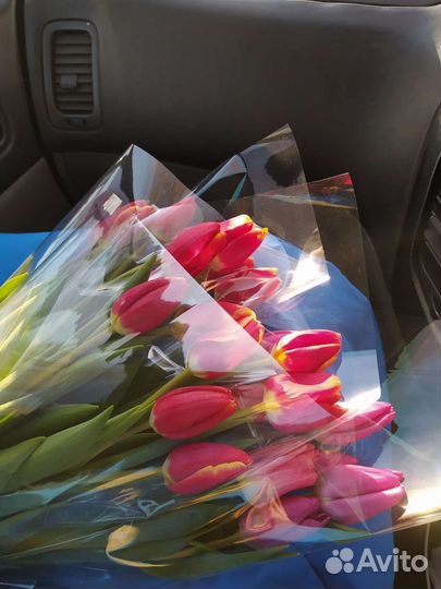 Тюльпаны к 8 марта