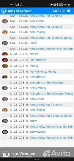Уникальный Маисовый полоз супер морфа