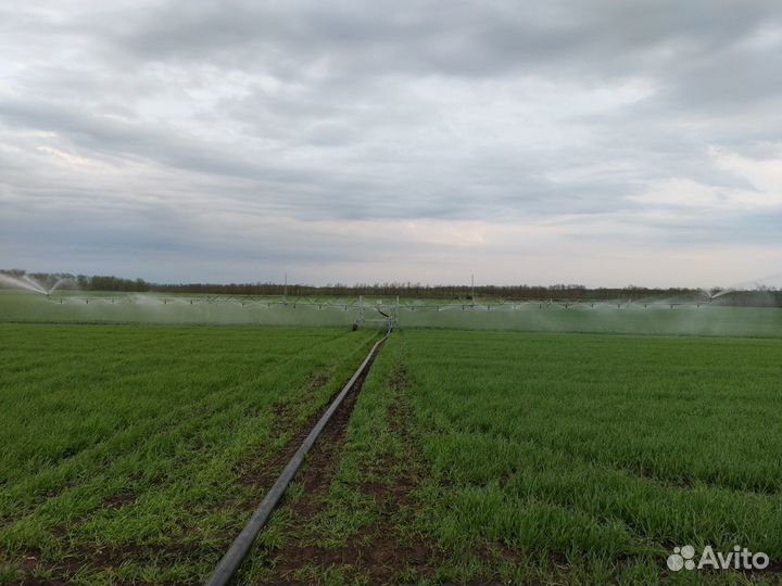 Дождевальная машина ZDM КД-30/52, 2022