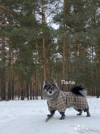 Малышка крошка