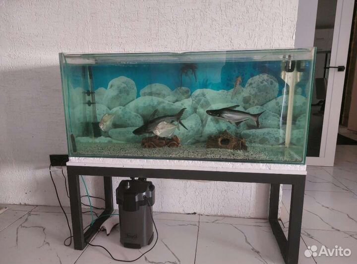 Продам аквариум с рыбами