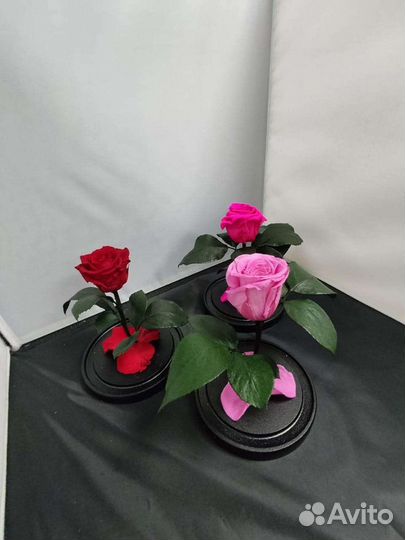 Роза в колбе оптом