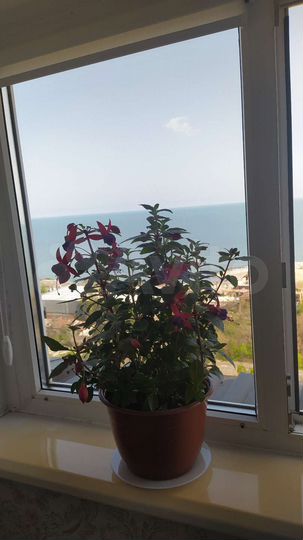 2-к. квартира, 100 м², 14/14 эт.