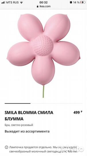 Ночник цветок