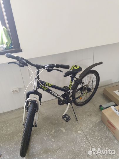 Forward lady Seido 24 1.0