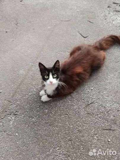 Очень нужен дом