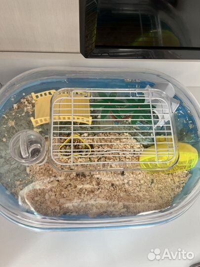 Клетка для грызуна (оазис)