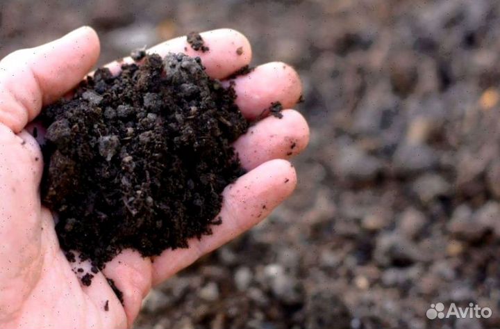Земля плодородная торф чернозем