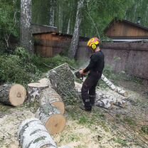 Расчистка участка. Спил деревьев. Дробление пней