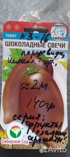 Рассада помидор