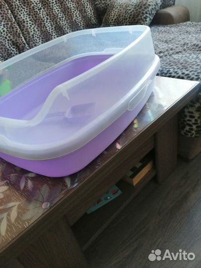 Когтеточка и лоток для крупных кошек