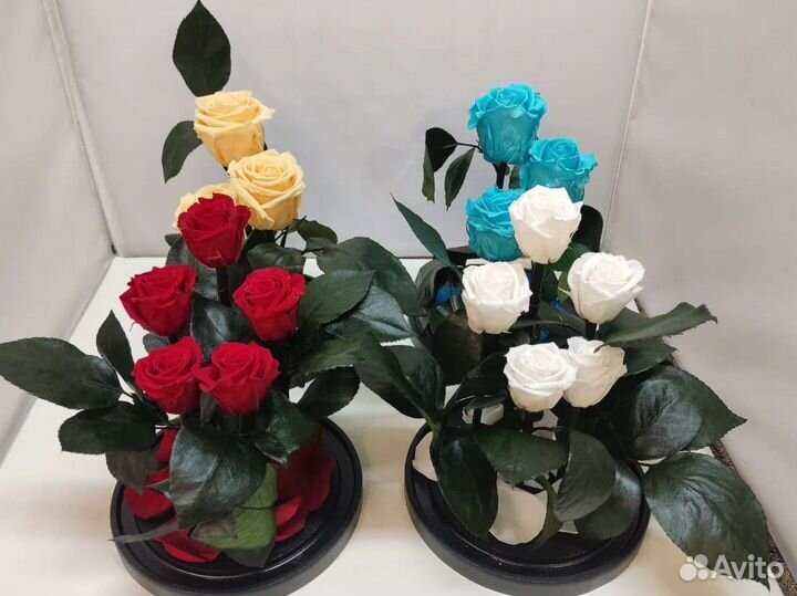 Цветы