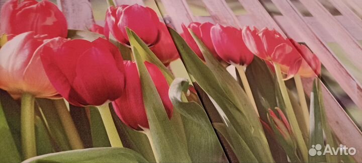 Модульные картины