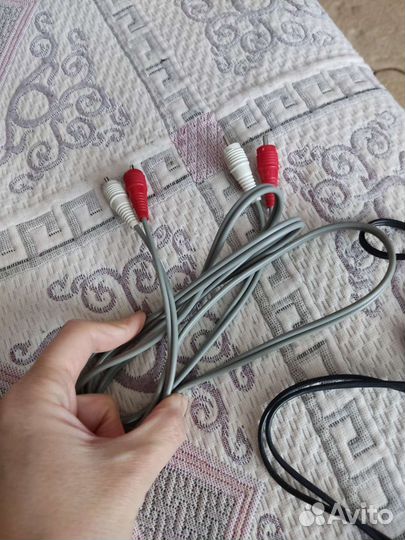 Тюльпаны провода