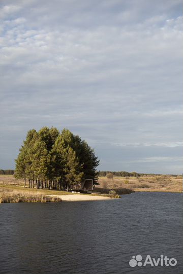 Аренда беседки