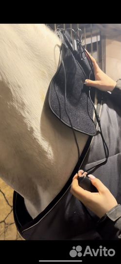 Ногавка для стефании