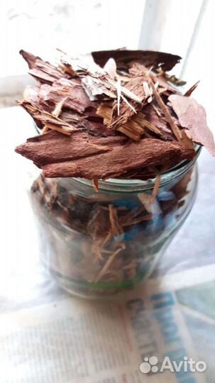 Кора сосны мульча