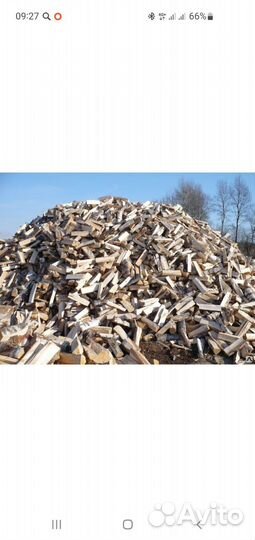 Продам дрова