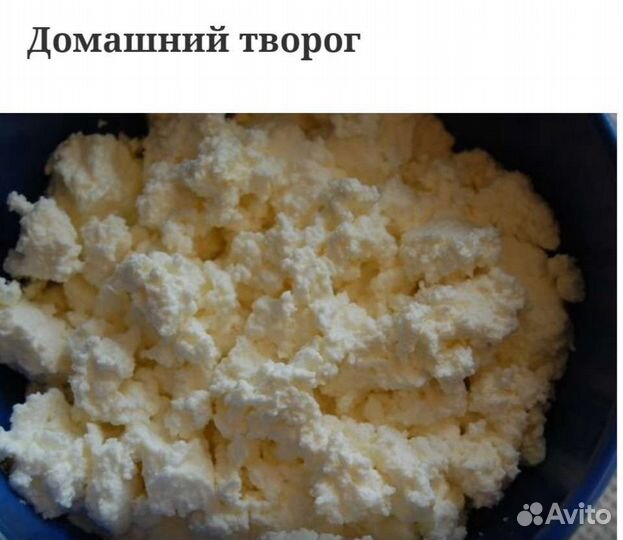Домашний творог