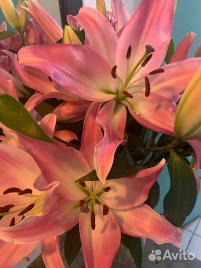 Букеты Голландских лилий