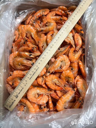 Креветки, мидии, морепродукты