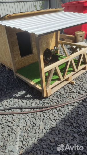 Будка для собак уличная
