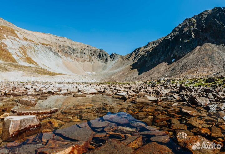 Праздники мероприятия