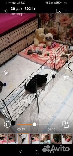 Вольер для собак 12 секций с дверцей